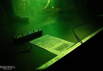 Intellect Devourer - Photo by Natalie