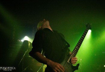 Intellect Devourer - Photo by Natalie