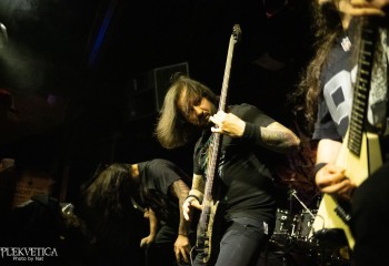 Inverecund - Photo by Natalie