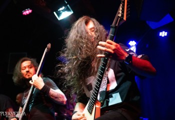 Inverecund - Photo by Natalie