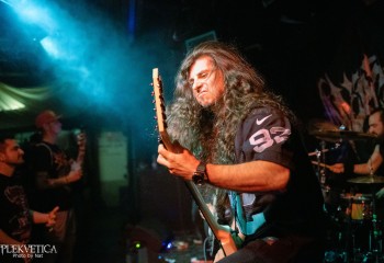 Inverecund - Photo by Natalie