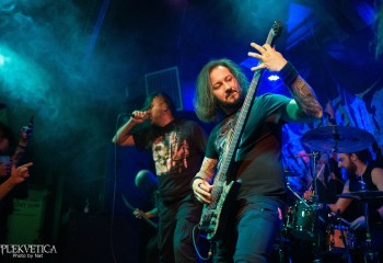 Inverecund - Photo by Natalie