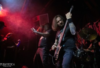 Inverecund - Photo by Natalie