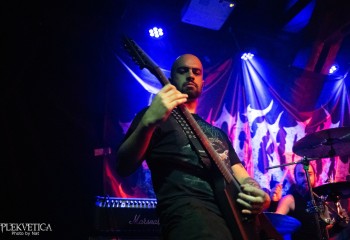 Inverecund - Photo by Natalie