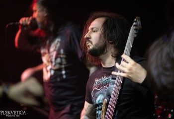 Inverecund - Photo by Natalie