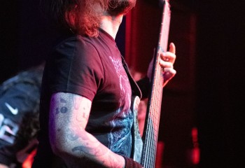 Inverecund - Photo by Natalie