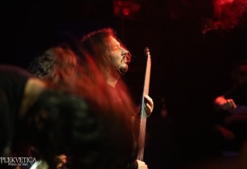 Inverecund - Photo by Natalie