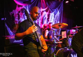 Inverecund - Photo by Natalie