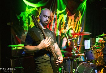 Inverecund - Photo by Natalie