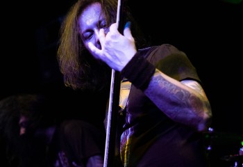 Inverecund - Photo by Natalie