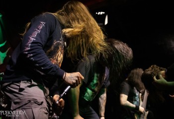 Inverecund - Photo by Natalie