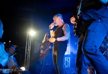 Ivanhoe - Photo by Natalie