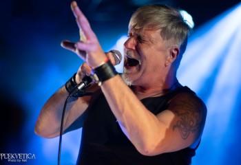 Ivanhoe - Photo by Natalie