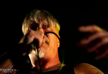 Ivanhoe - Photo by Natalie