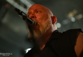 Jungle Rot - Photo by Natalie