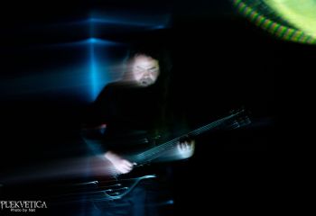 Kernal - Photo by Natalie