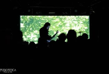 Kernal - Photo by Natalie