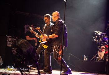 Kim Wild -  Photo by Michjel Varrin