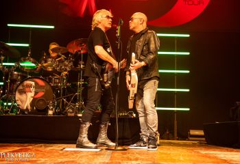 Kim Wild -  Photo by Michjel Varrin