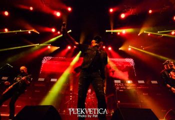 Krokus - Photo by Pat