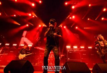 Krokus - Photo by Pat