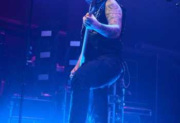 Kupfergold - Photo By Peti