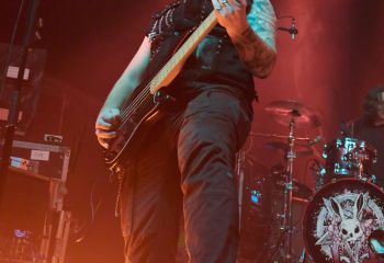 Kupfergold - Photo By Peti