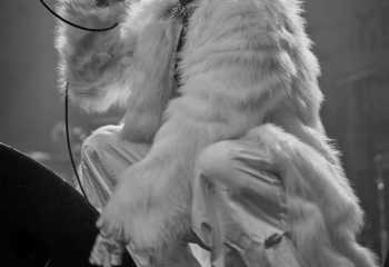 Mélancolia - Photo By Peti