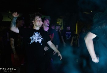 Never - Photo by Natalie