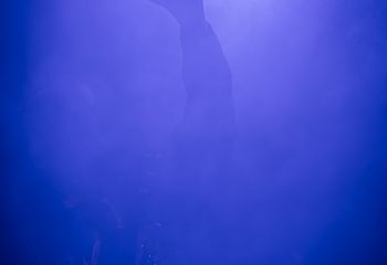 Noiduin - Photo by Dänu