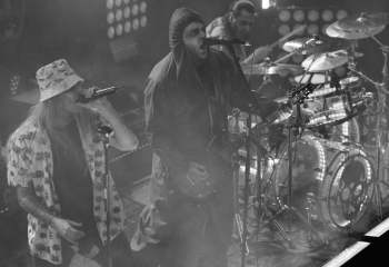 Pain - Photo By Peti