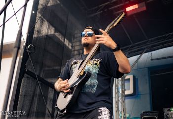 Pighead - Photo by Natalie