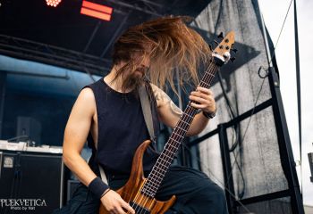 Pighead - Photo by Natalie