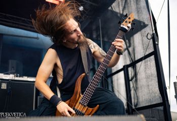 Pighead - Photo by Natalie