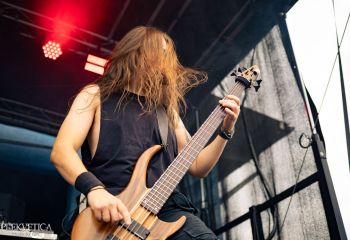 Pighead - Photo by Natalie