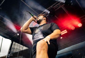 Pighead - Photo by Natalie