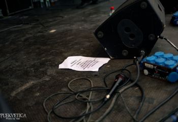 Pighead - Photo by Natalie