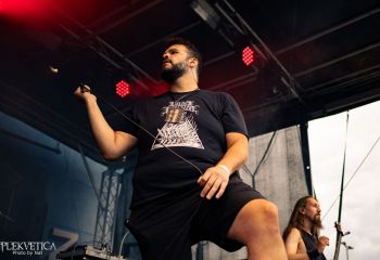 Pighead - Photo by Natalie