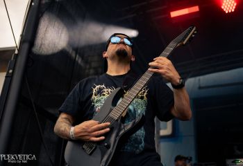 Pighead - Photo by Natalie