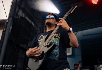 Pighead - Photo by Natalie