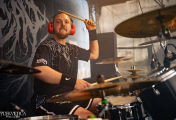 Pighead - Photo by Natalie