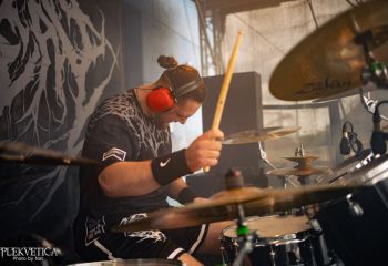 Pighead - Photo by Natalie