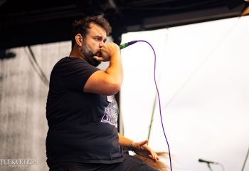 Pighead - Photo by Natalie