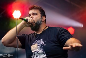 Pighead - Photo by Natalie