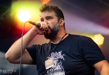 Pighead - Photo by Natalie