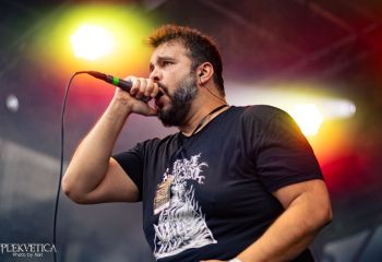 Pighead - Photo by Natalie