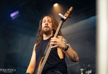 Pighead - Photo by Natalie