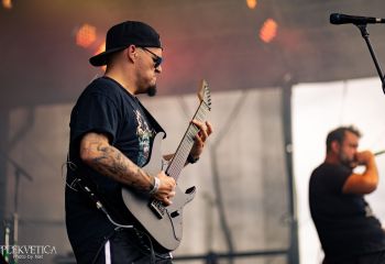 Pighead - Photo by Natalie