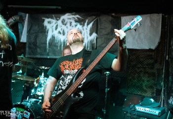 Pusboil - Photo by Natalie