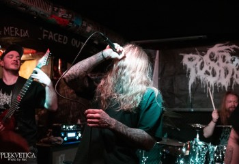 Pusboil - Photo by Natalie